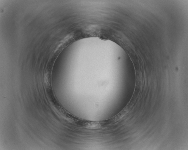 X0000062640088200601181755