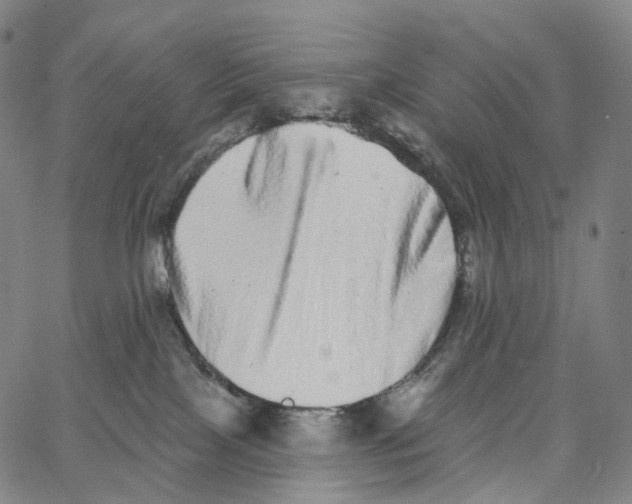 X0000062640089200601181755