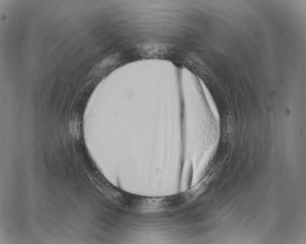 X0000062640090200601181755