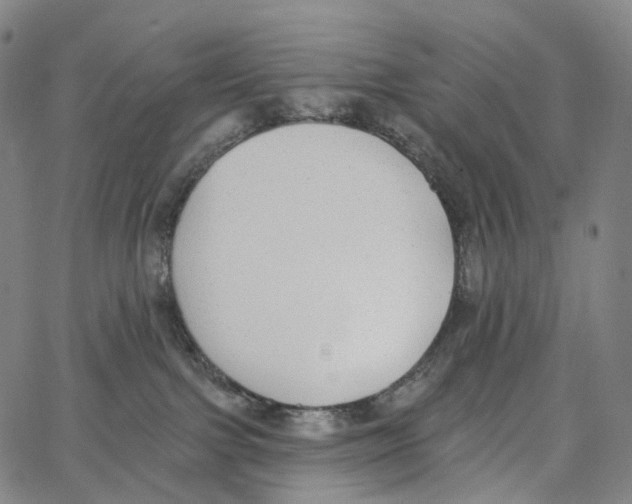 X0000062640091200601181755