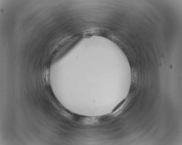 X0000062640094200601181756