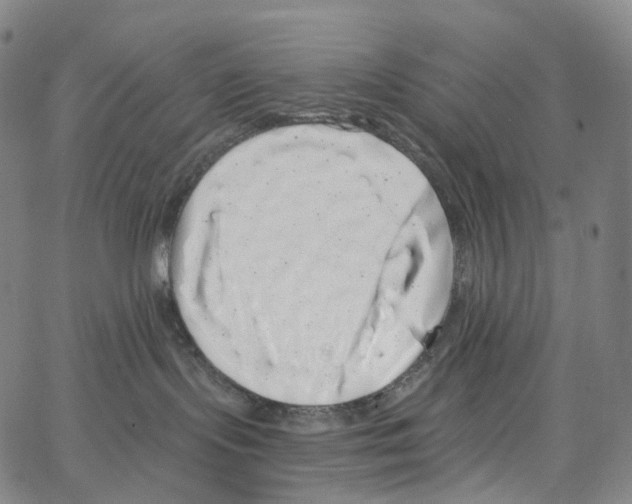 X0000062640095200601181756