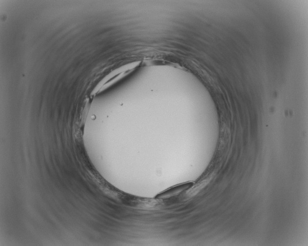 X0000062640096200601181756