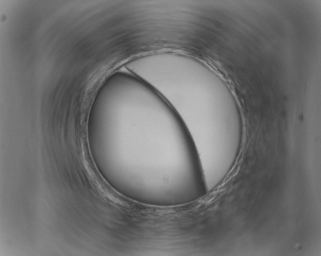 X0000062640097200601181755