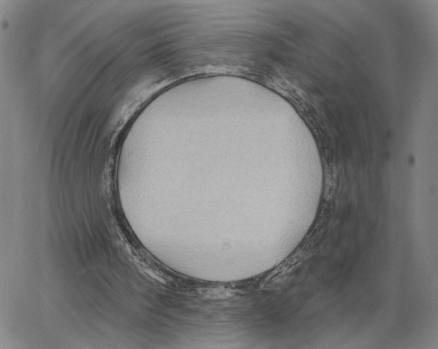 X0000062640098200601181755