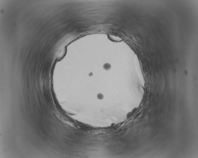 X0000062640100200601181755