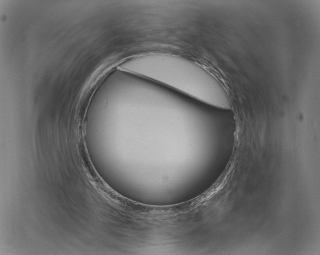 X0000062640101200601181755