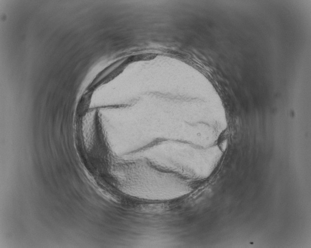 X0000062640102200601181755