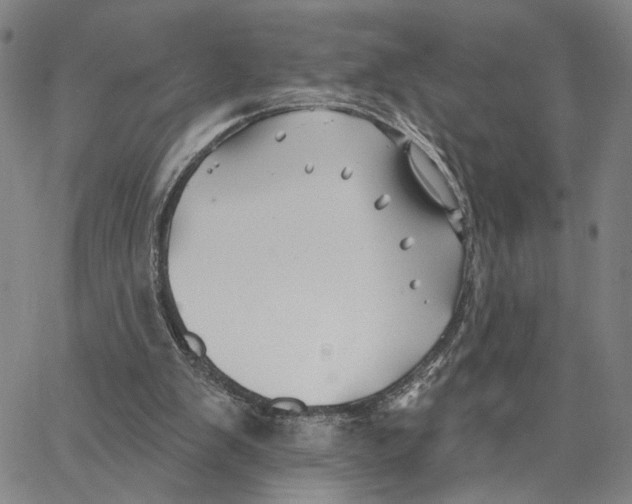 X0000062640103200601181755