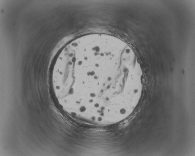 X0000062640104200601181755