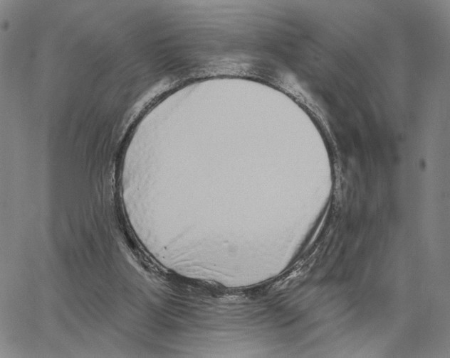 X0000062640107200601181755