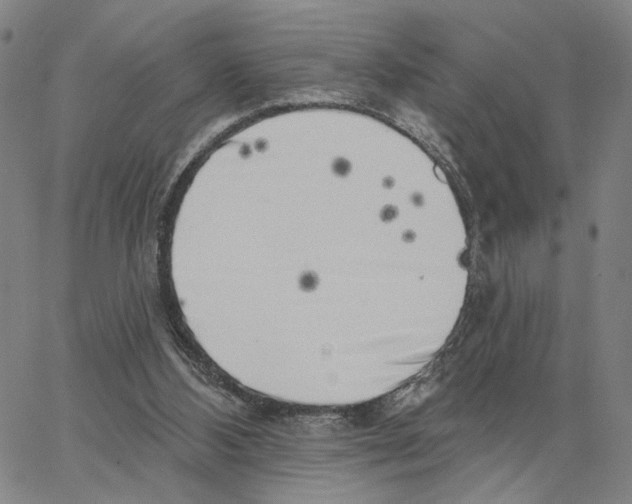 X0000062640108200601181755