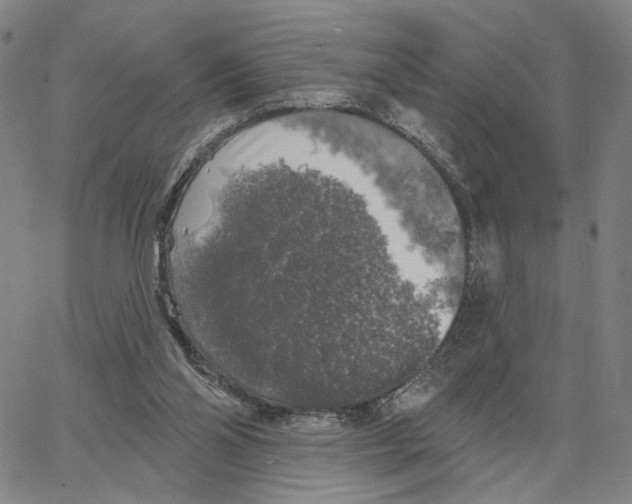 X0000062640110200601181755