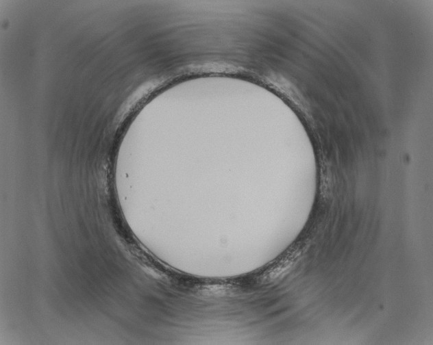 X0000062640111200601181755