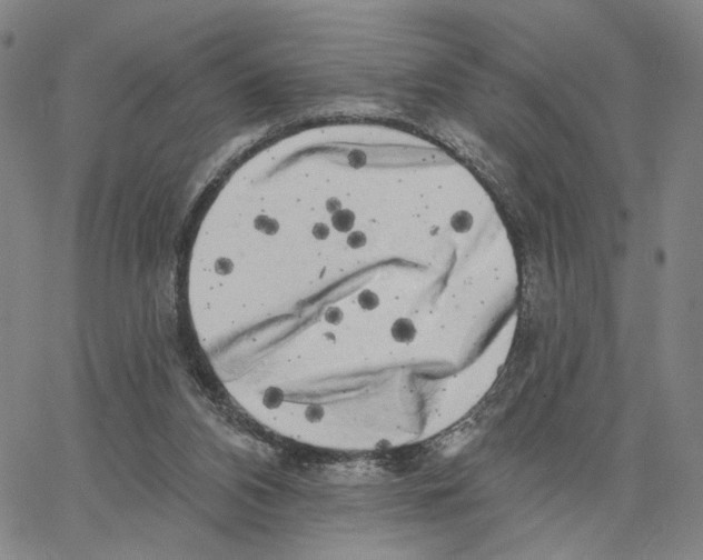 X0000062640112200601181755