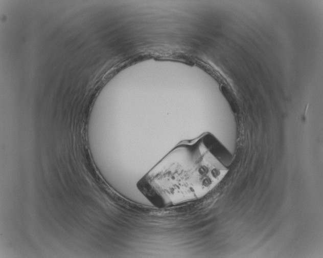 X0000062640117200601181754