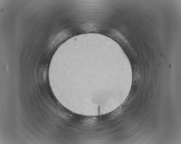 X0000062640124200601181754