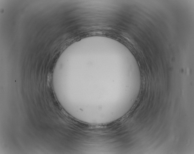 X0000062640125200601181754