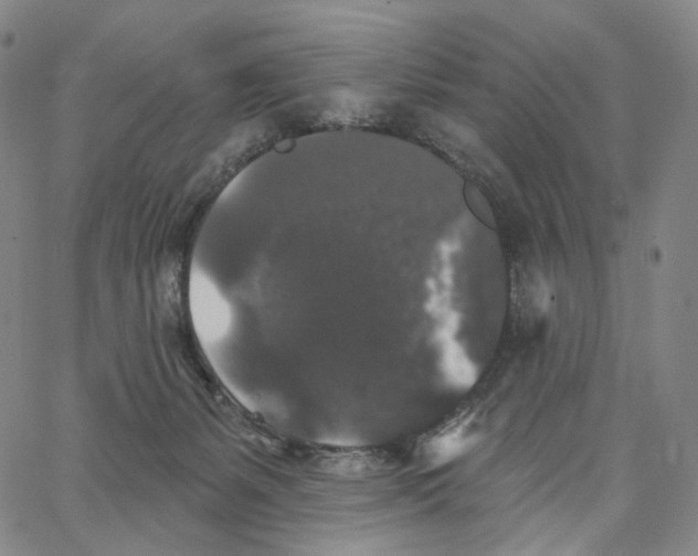 X0000062640127200601181754