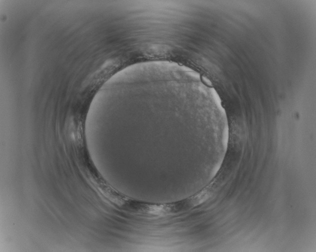 X0000062640130200601181754