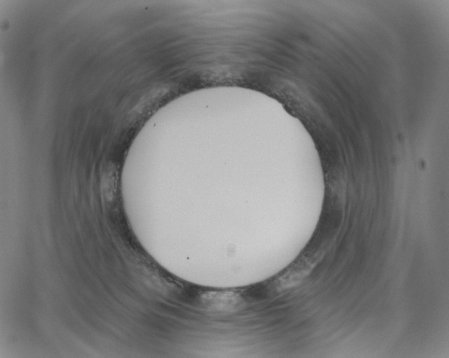 X0000062640133200601181754