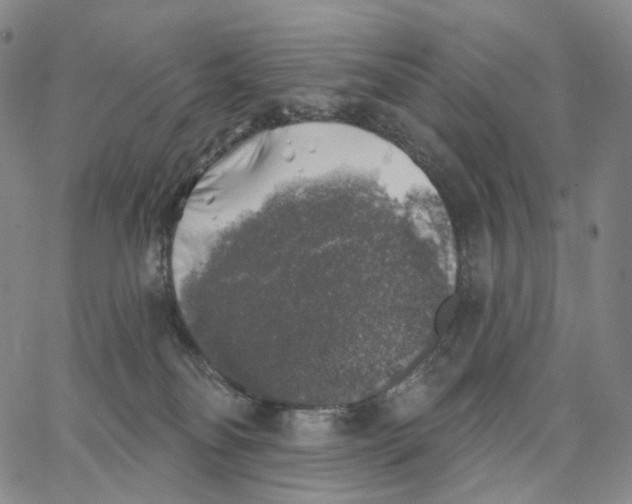 X0000062640134200601181754