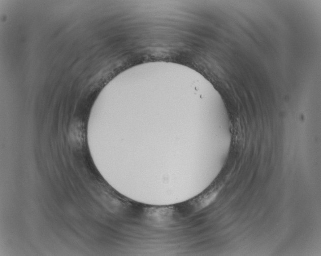 X0000062640135200601181754