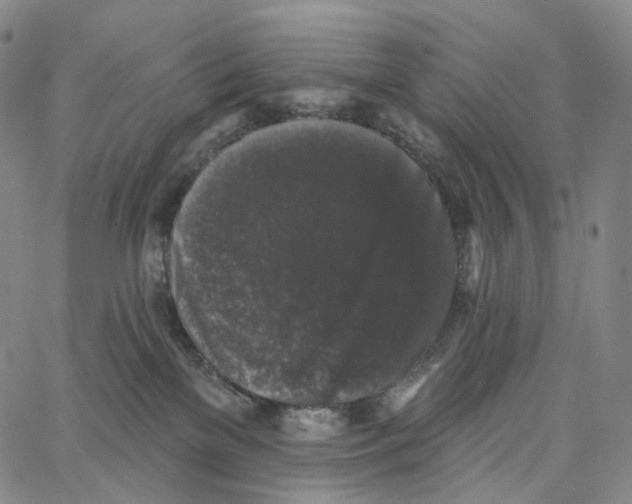 X0000062640137200601181754