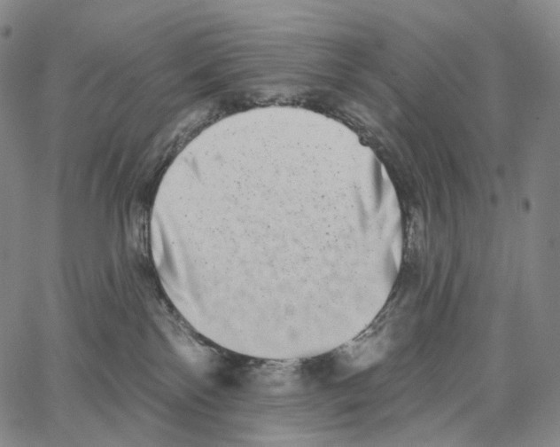 X0000062640138200601181754