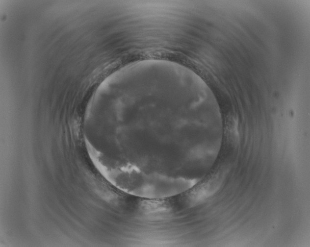 X0000062640139200601181754