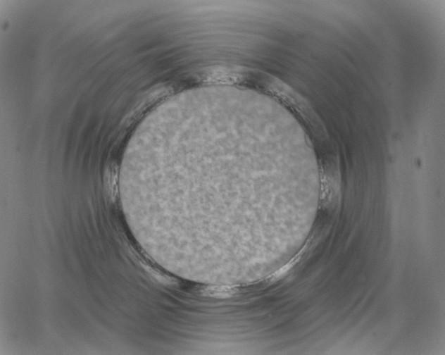 X0000062640142200601181754