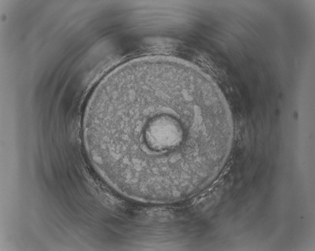 X0000062640146200601181753