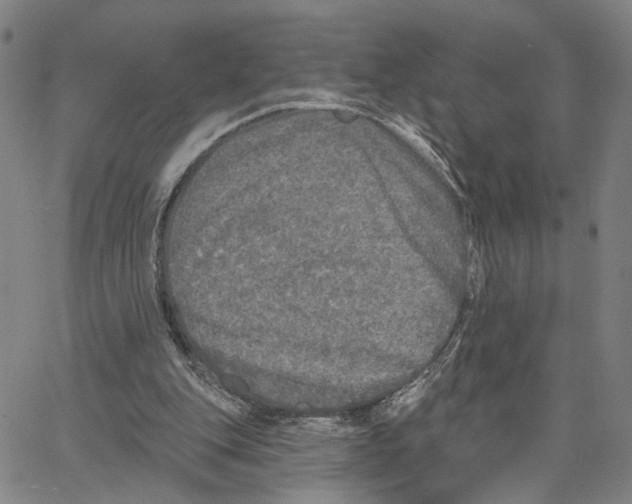 X0000062640151200601181753