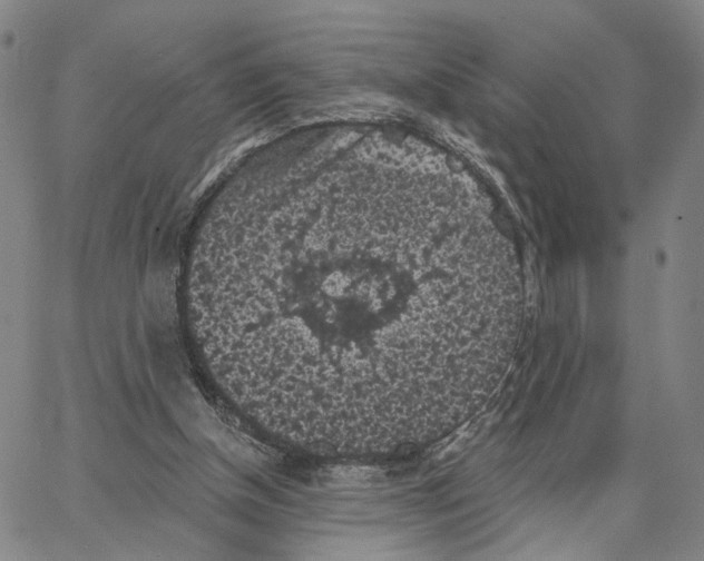 X0000062640154200601181753