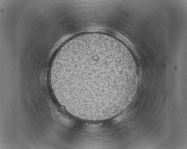 X0000062640155200601181753