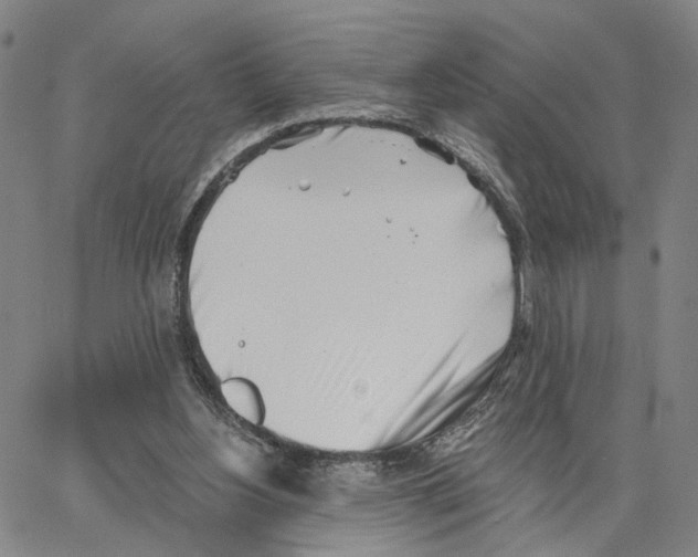 X0000062640156200601181753