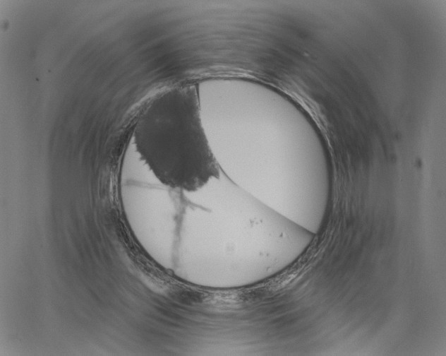 X0000062640157200601181753