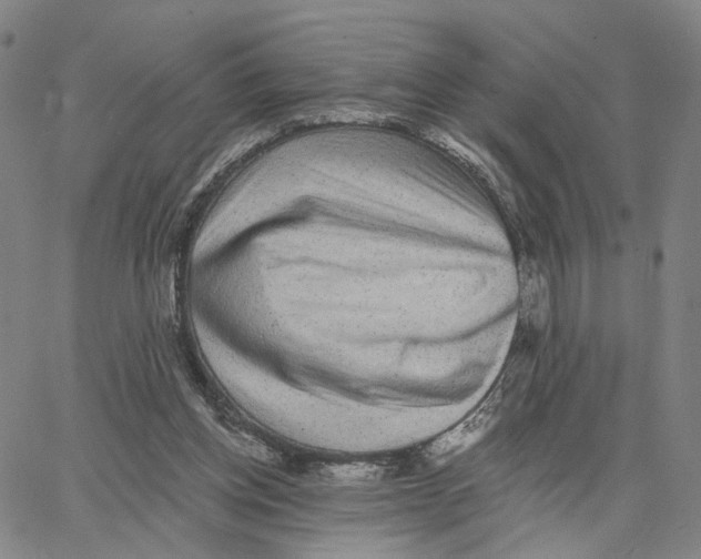 X0000062640158200601181753