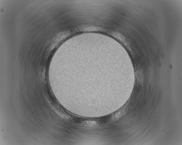 X0000062640159200601181753