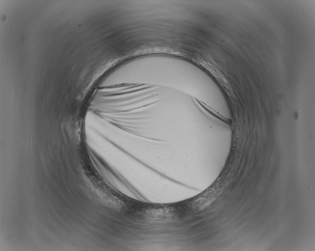 X0000062640160200601181753