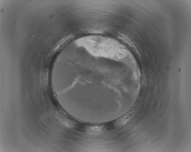 X0000062640163200601181754