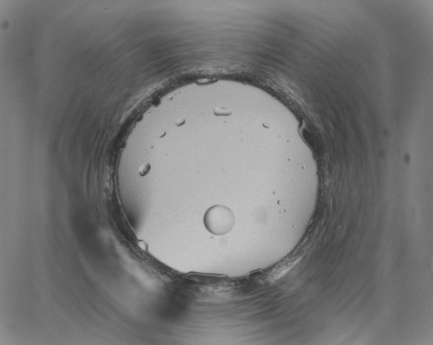 X0000062640164200601181754