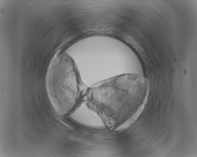 X0000062640165200601181754