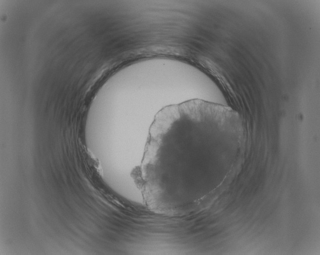 X0000062640167200601181754