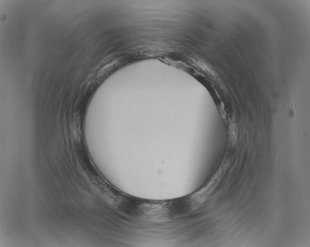 X0000062640170200601181754