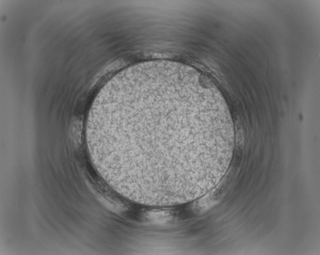 X0000062640171200601181754