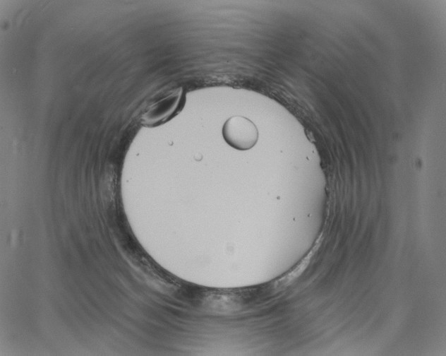 X0000062640174200601181754