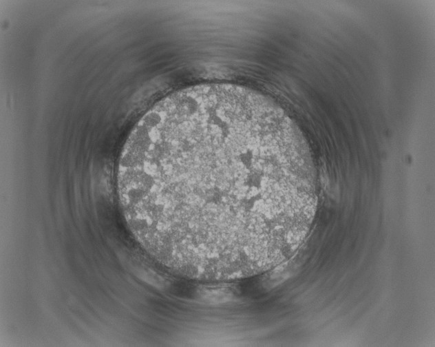 X0000062640175200601181754