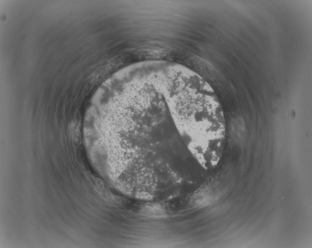 X0000062640177200601181754