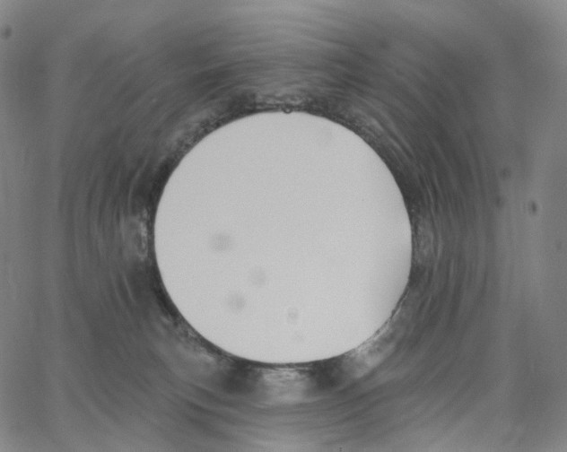 X0000062640183200601181754